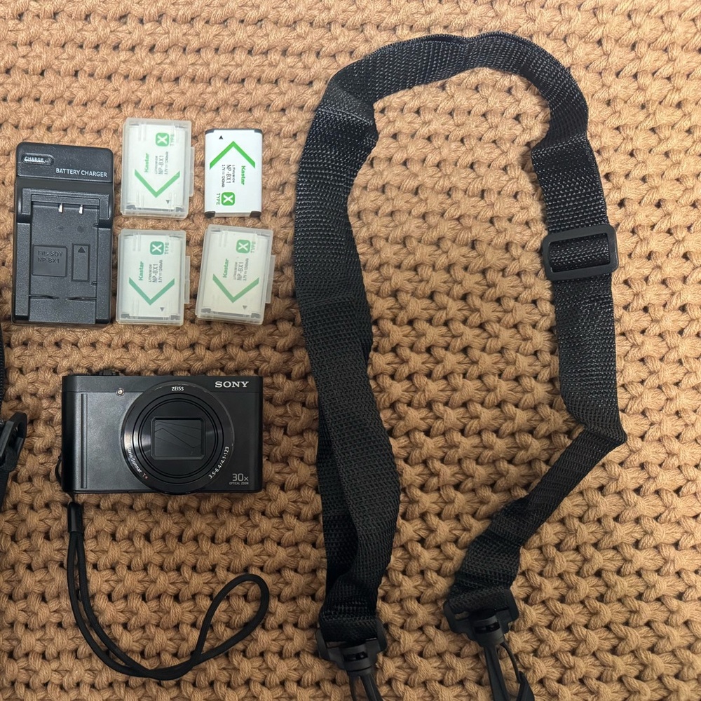 Sony Cyber-shot DSC-WX500 compact digital camera bundle